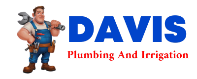 Trusted plumber in PERRINTON